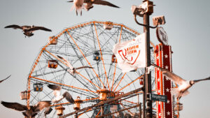 flock of birds flying