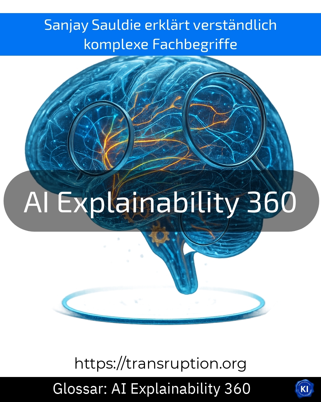 AI Explainability 360 (Glossary) 4.5 (1312)