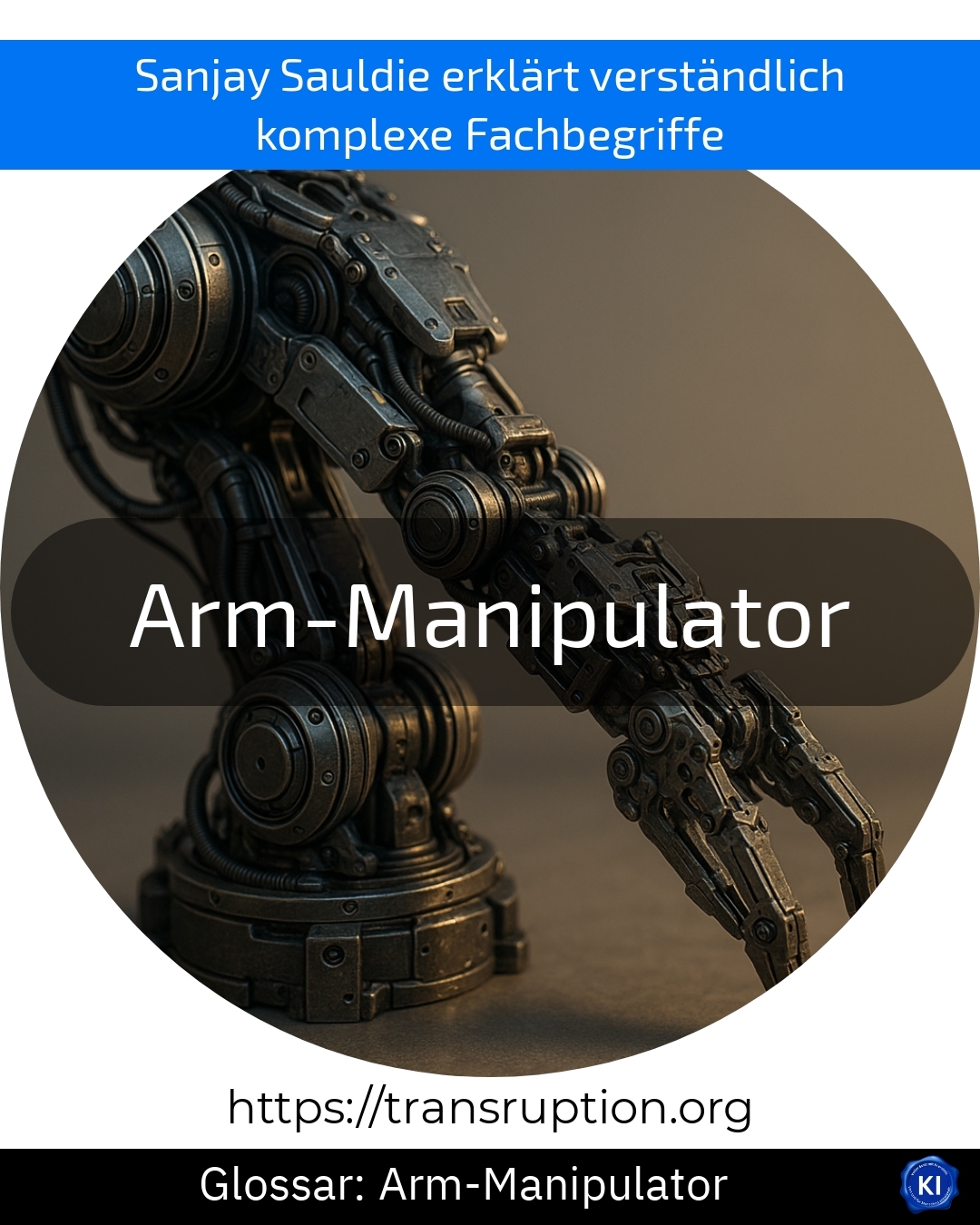 Arm-Manipulator (Glossar) 5 (628)