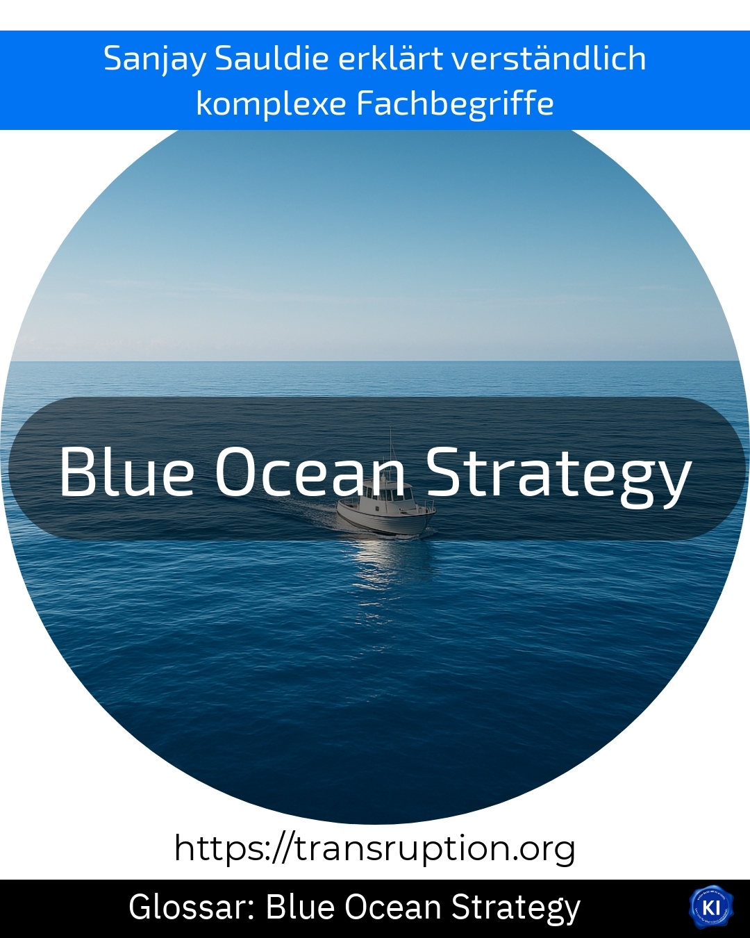 Blue Ocean Strategy (Glossary) 4.4 (1317)