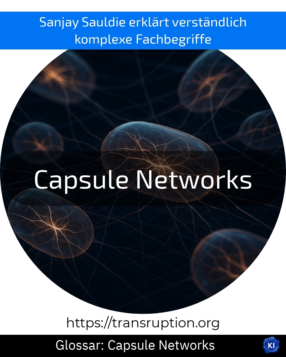 Capsule Networks (Glossary) 4.4 (1497)