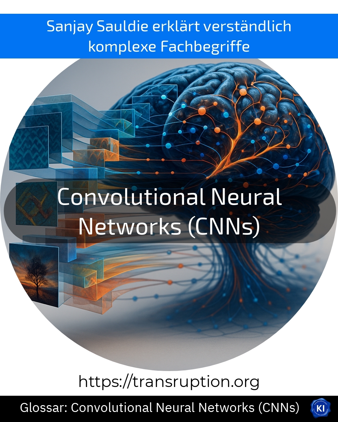 Convolutional Neural Networks (CNNs) (Glossar) 4.8 (1060)