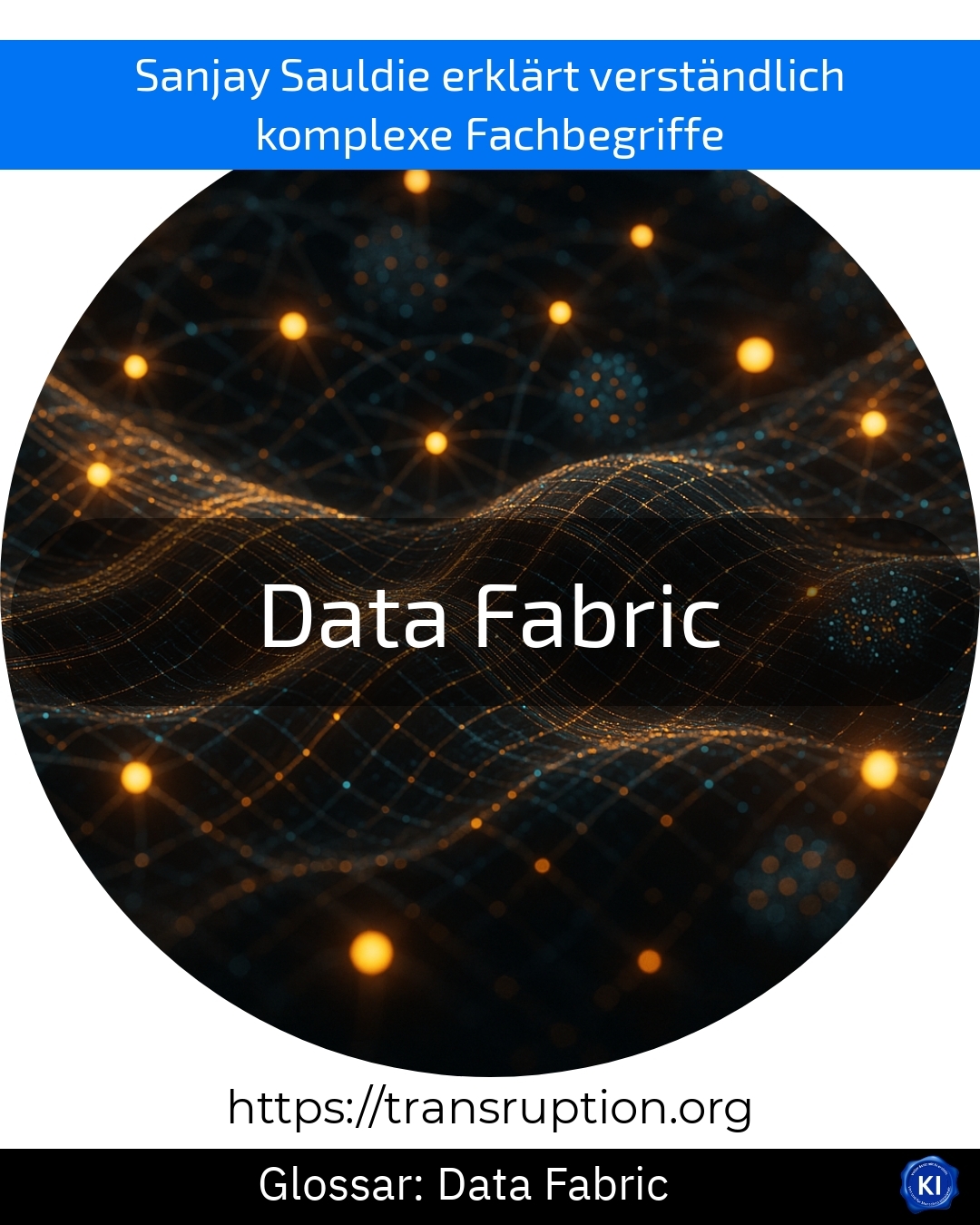Data Fabric (Glossary) 4.3 (479)