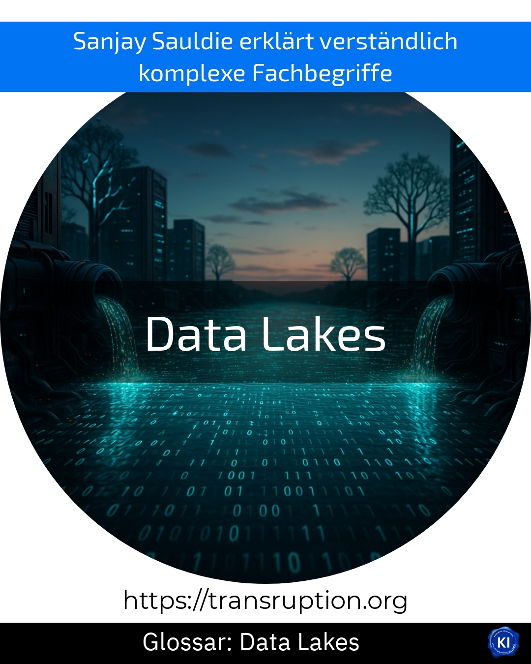 Data Lakes (Glossar) 4.6 (1460)