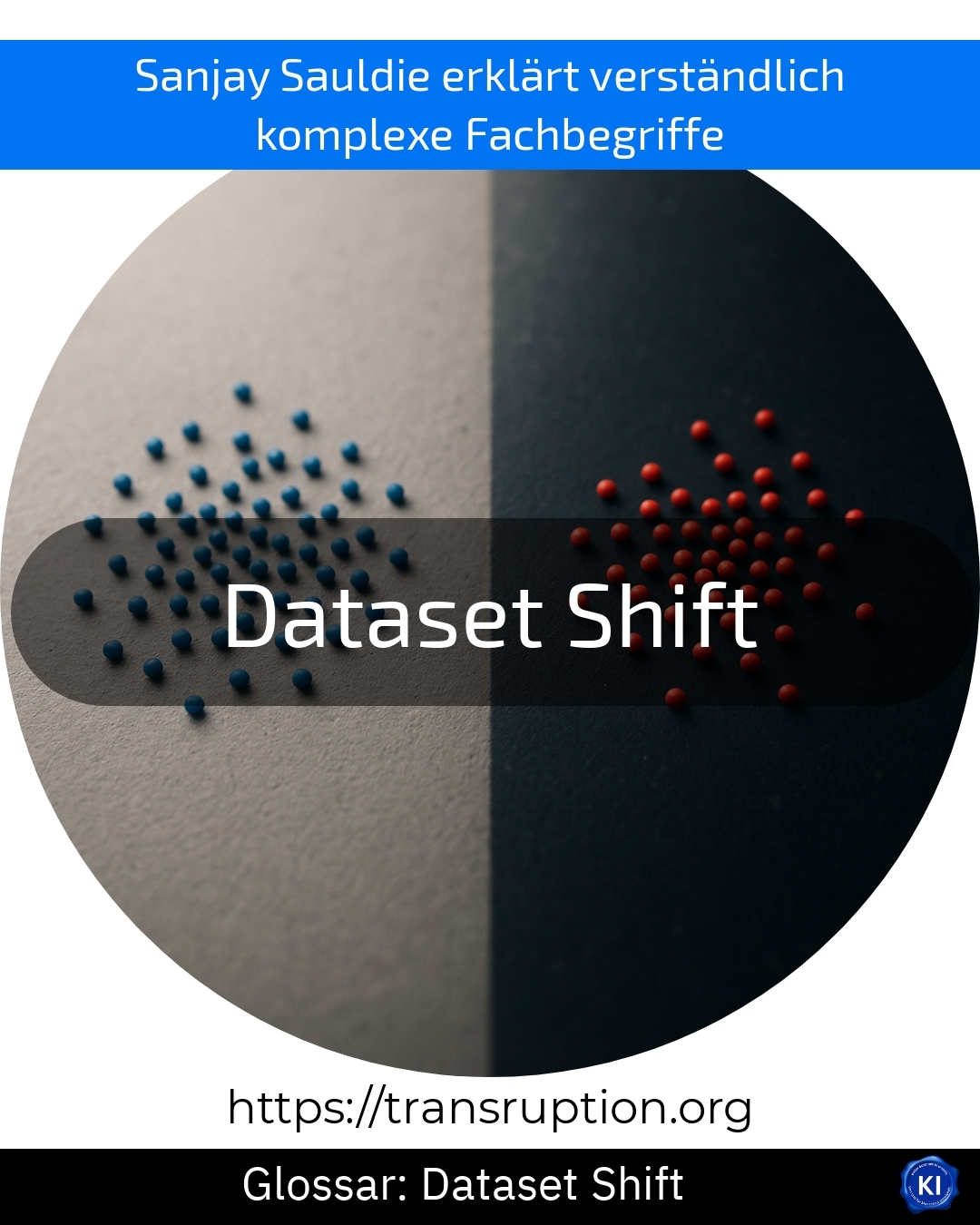 Dataset Shift (Glossary) 4.5 (1306)