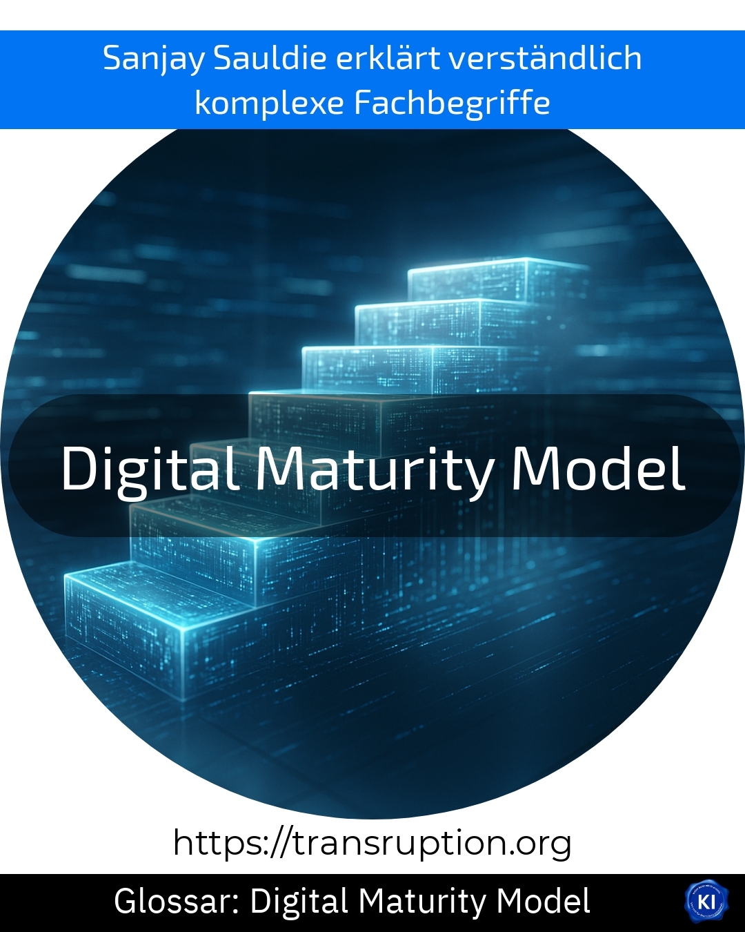 Digital Maturity Model (Glossary) 4.5 (907)