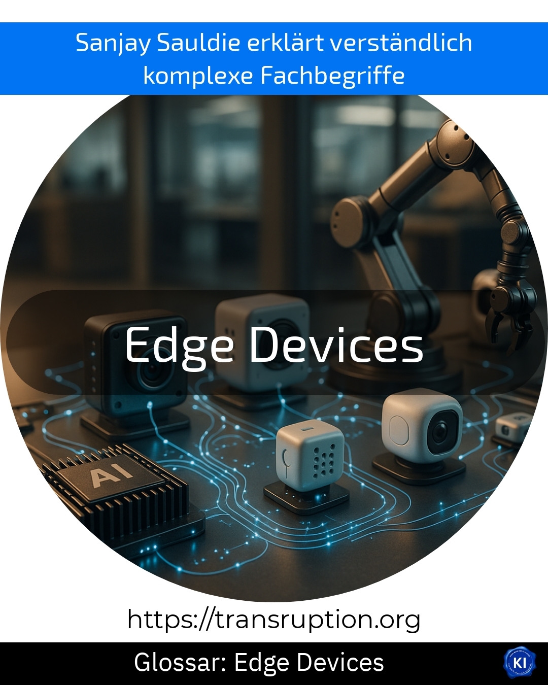Edge Devices (Glossar)