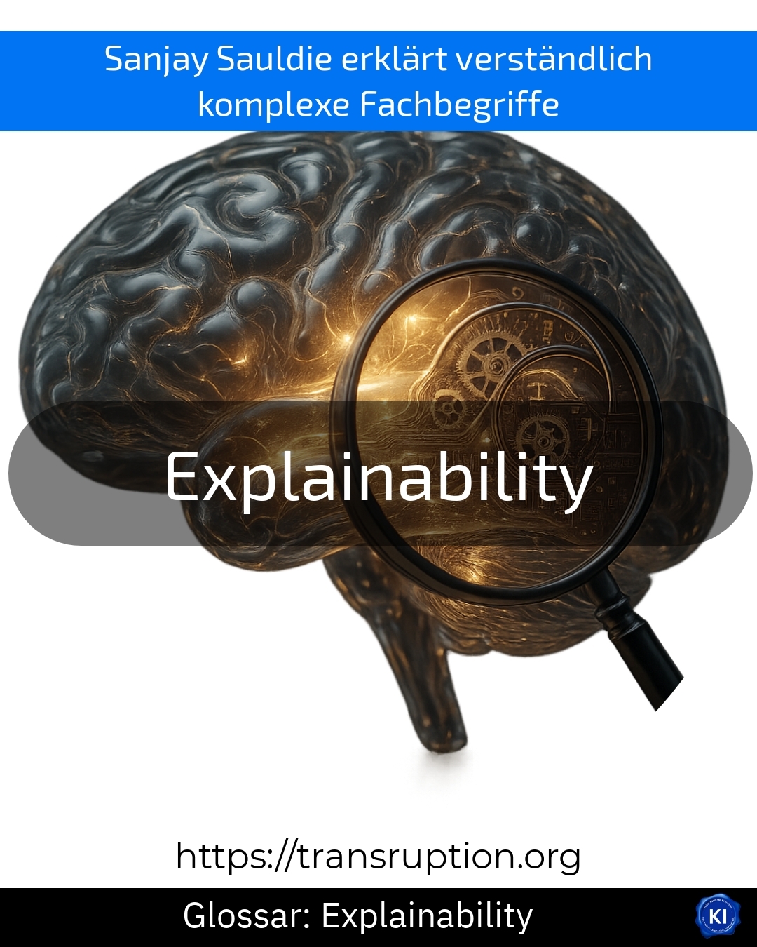 Explainability (Glossary) 4.9 (1377)