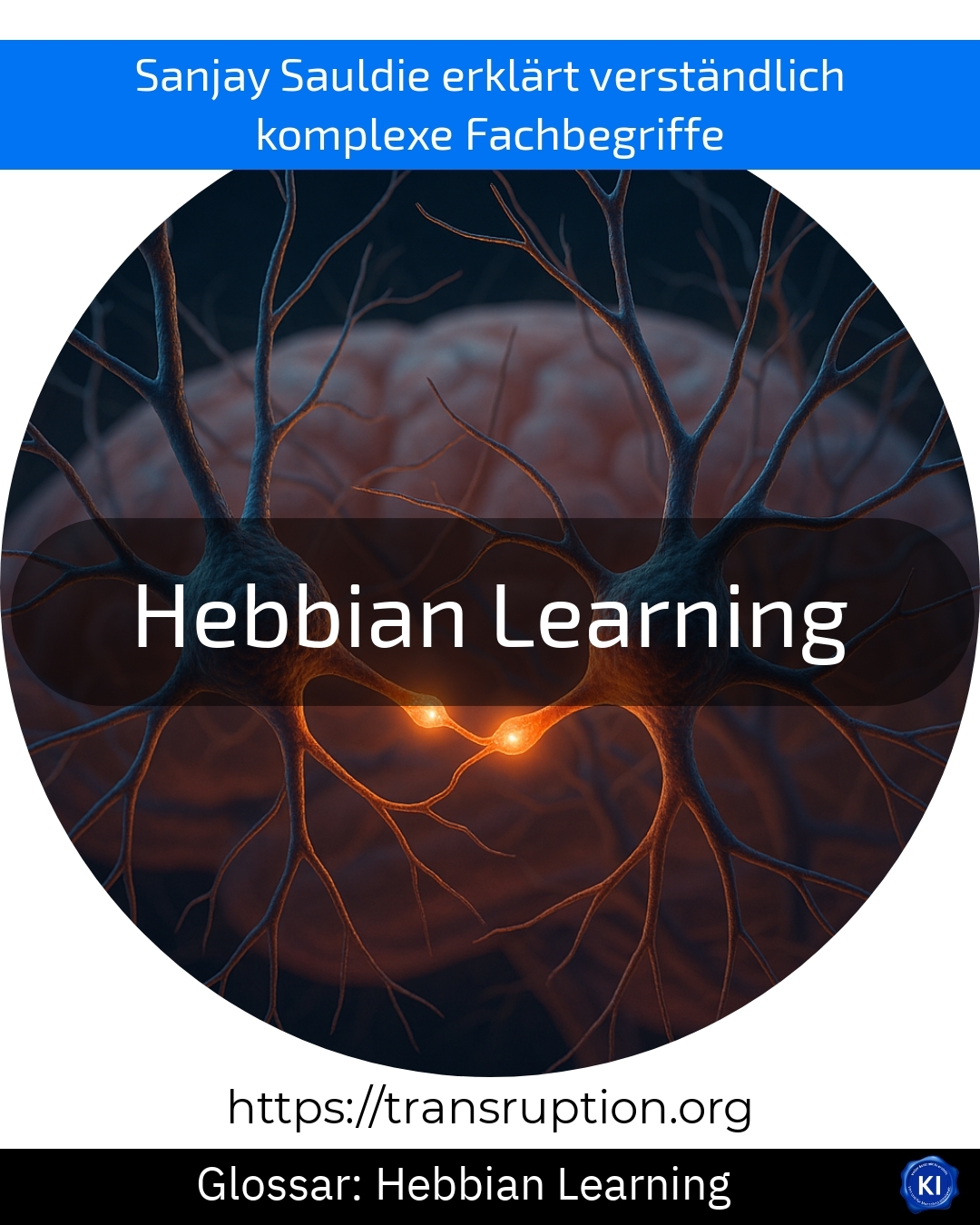 Hebbian Learning (Glossary) 4.4 (1165)
