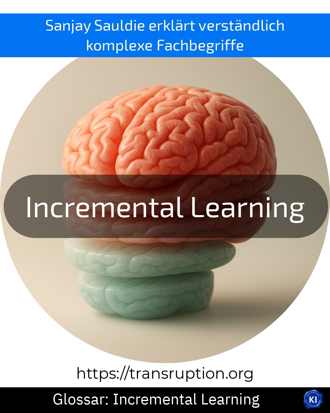 Incremental Learning (Glossar) 4.7 (1093)
