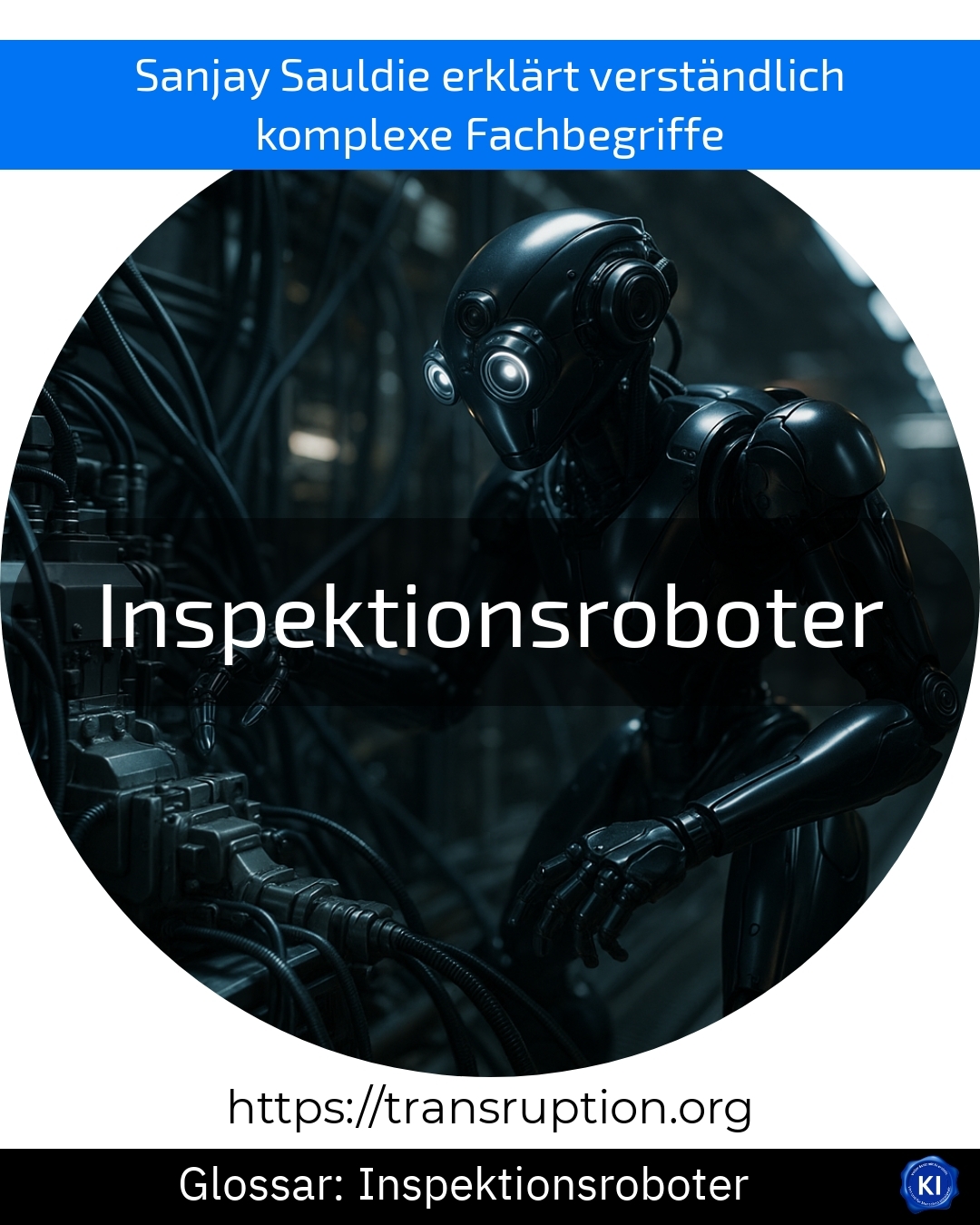 Inspection robots (Glossary) 4.6 (1306)