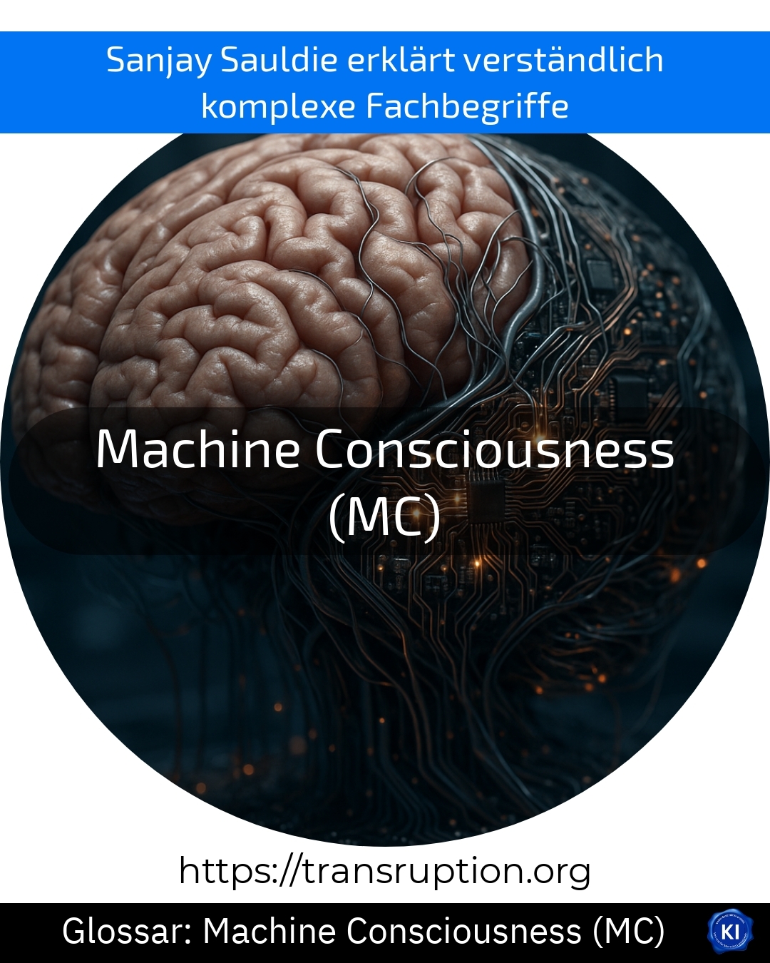 Machine Consciousness (MC) (Glossary) 4.1 (1681)