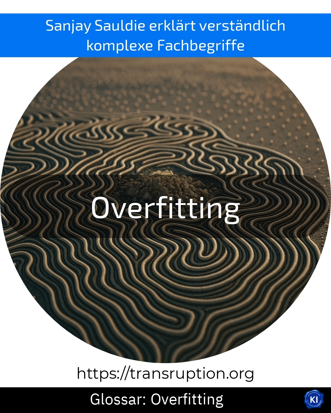 Overfitting (Glossar) 4.5 (907)