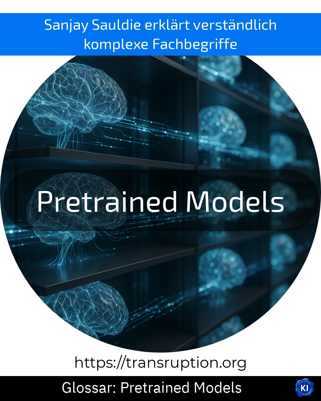 Pretrained Models (Glossary) 4.7 (1186)