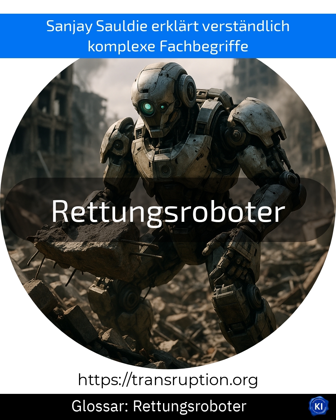 Rescue robots (Glossary) 4.4 (959)