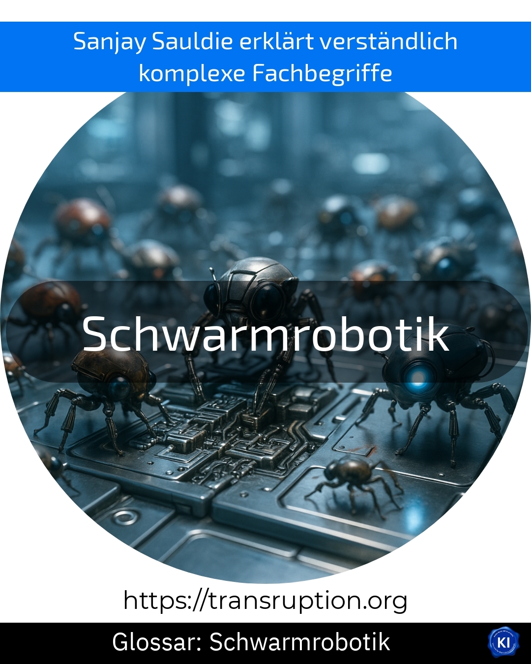 Schwarmrobotik (Glossar) 4.6 (1055)