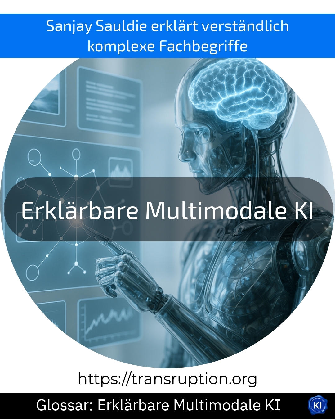Erklärbare Multimodale KI (Glossar) 4.5 (1342)