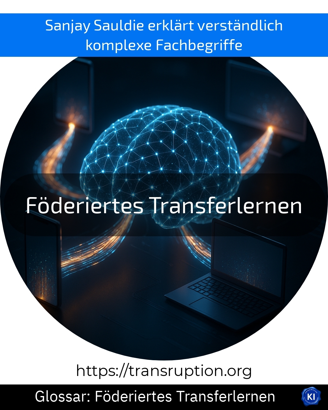 Föderiertes Transferlernen: KI gemeinsam nutzen, Datenschutz wahren! Jetzt mehr über sichere, smarte Datenmodelle erfahren.