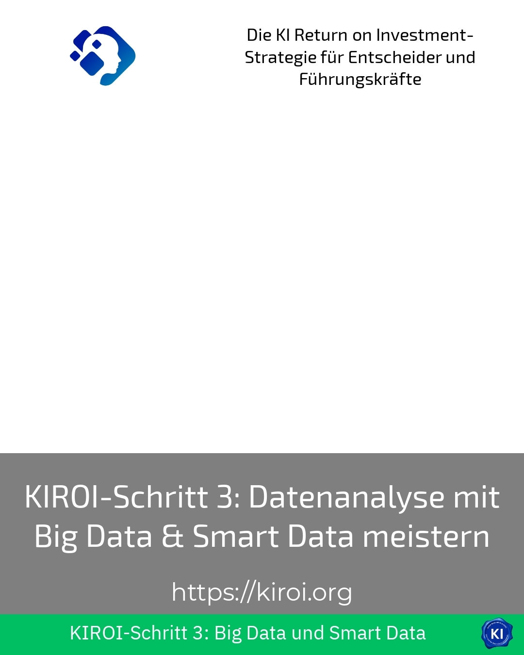 KIROI-Schritt 3: Datenanalyse mit Big Data & Smart Data meistern 4.4 (1011)