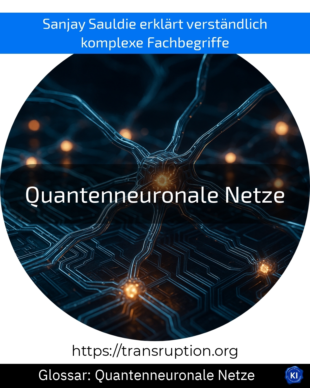 Quantenneuronale Netze (Glossar) 4.2 (1383)