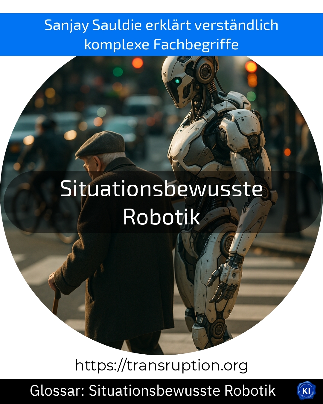 Situationsbewusste Robotik (Glossar) 4.9 (564)