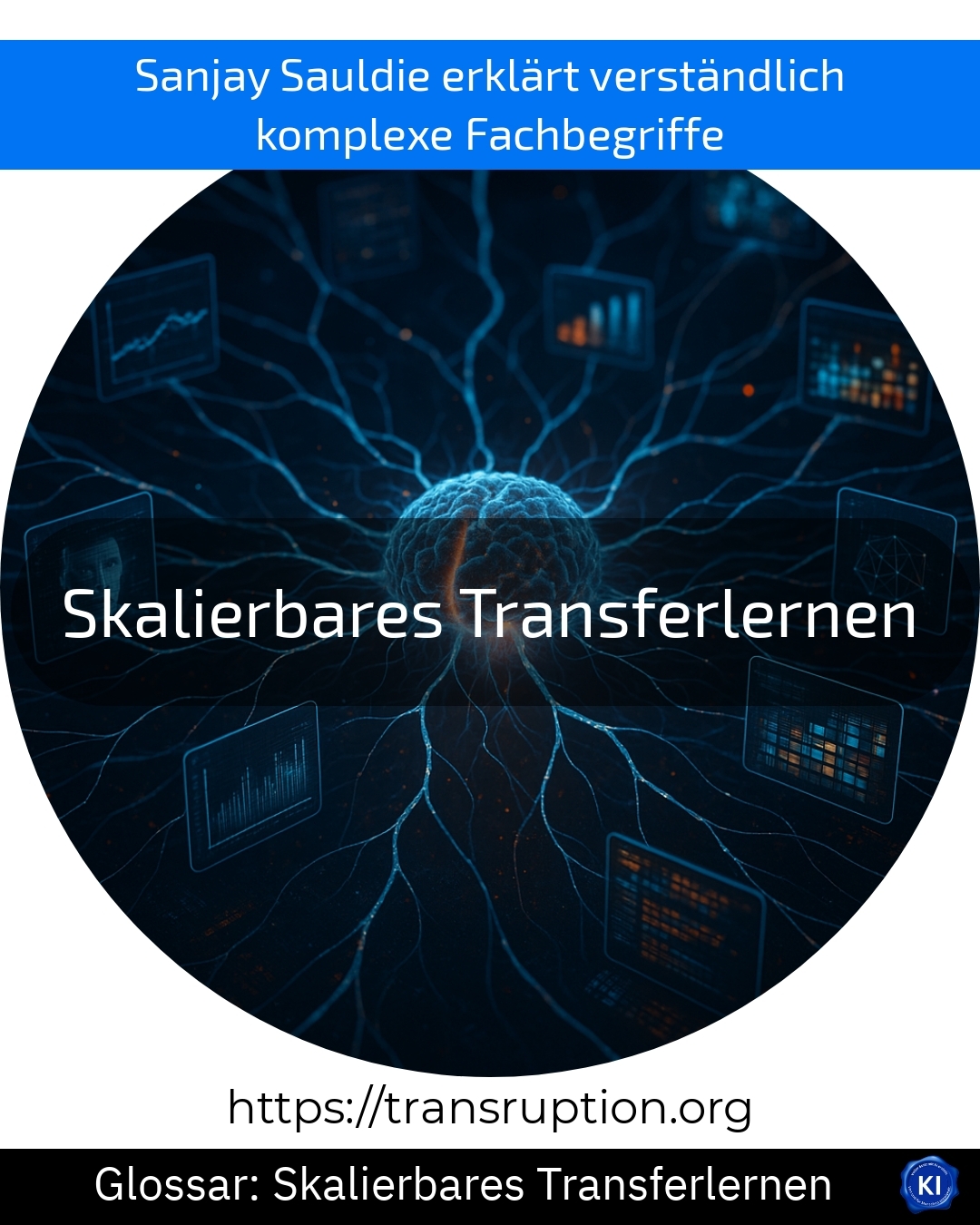 Skalierbares Transferlernen (Glossar) 4.3 (1006)