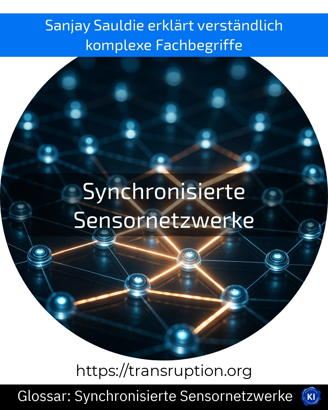 Synchronisierte Sensornetzwerke (Glossar) 4.8 (985)