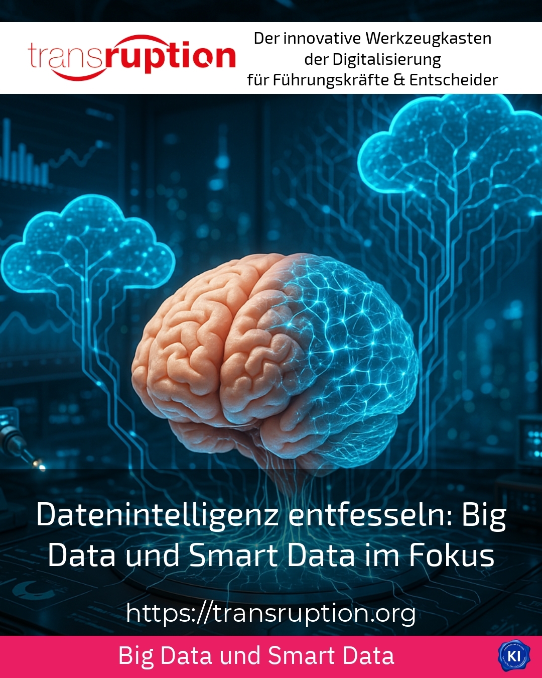 Unleashing data intelligence: Focus on Big Data and Smart Data 4.3 (776)