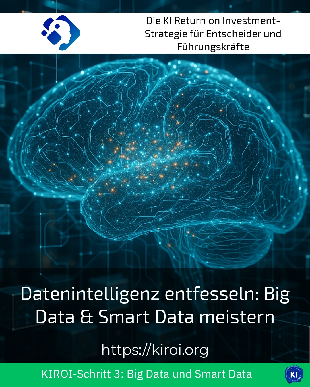 Datenintelligenz entfesseln: Big Data & Smart Data meistern 4.7 (683)