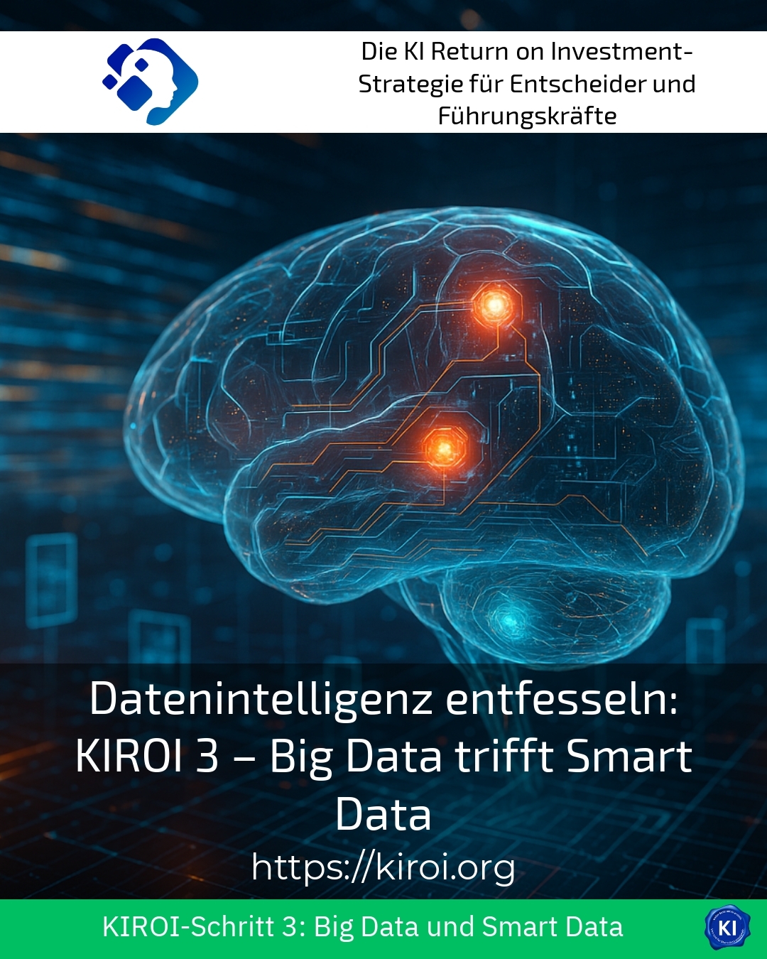 Unleashing data intelligence: KIROI 3 - Big Data meets Smart Data 4.4 (1161)