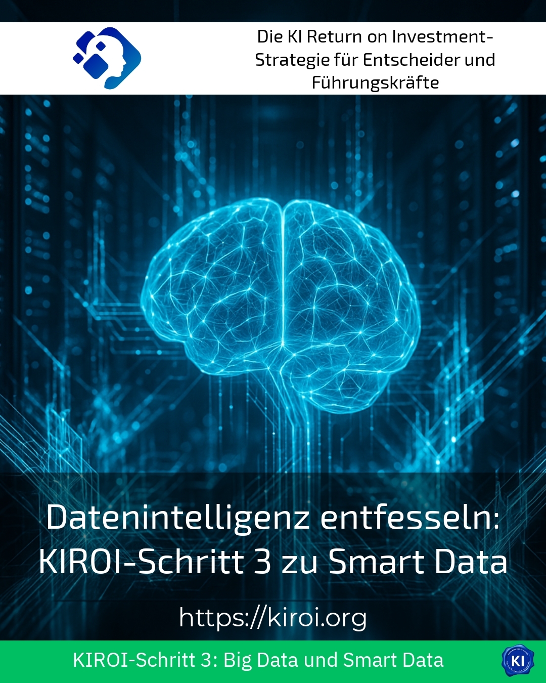 Unleashing data intelligence: KIROI step 3 to Smart Data 4.6 (648)
