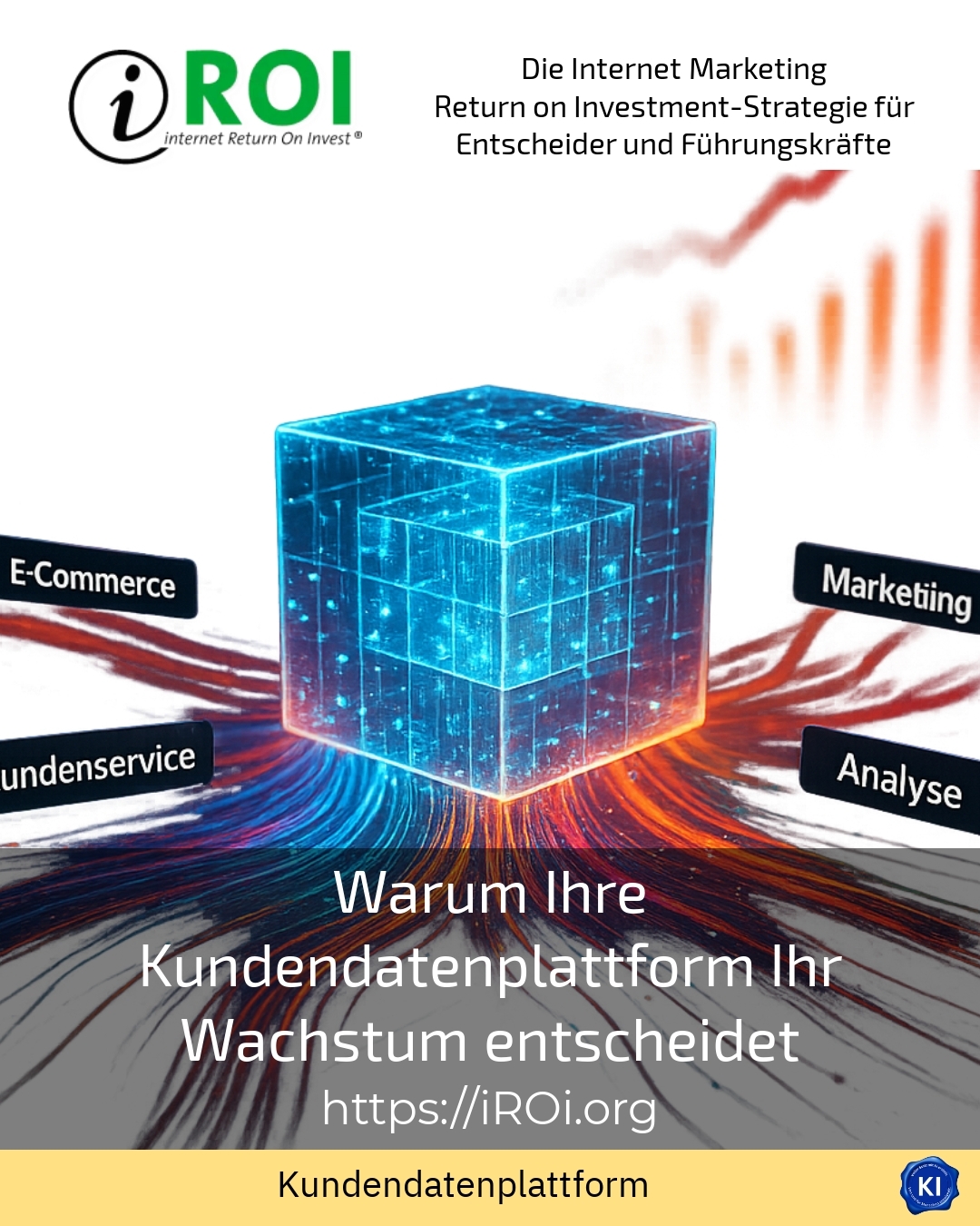 Warum Ihre Kundendatenplattform Ihr Wachstum entscheidet 5 (376)